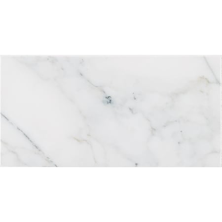 Msi Calacatta Cressa SAMPLE Honed Marble Floor And Wall Tile ZOR-NS-0054-SAM